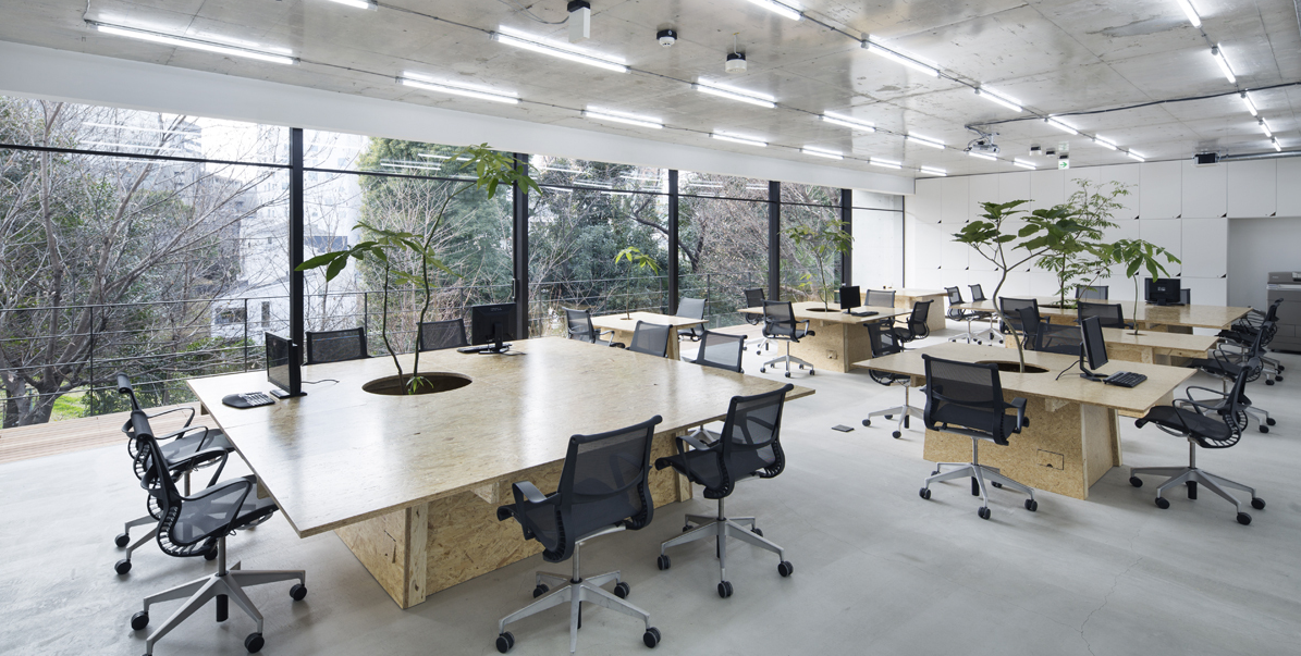 O1 Properties откроет новые площадки гибких офисов