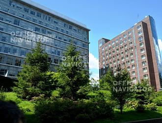 Вивальди Плаза B (Осень). Фото 3