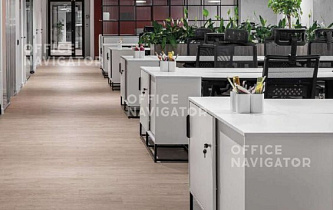 5563480-Apollax Group-Бригантина Хoлл